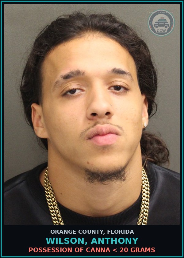 Booking mugshot of WILSON, ANTHONY in Orange County