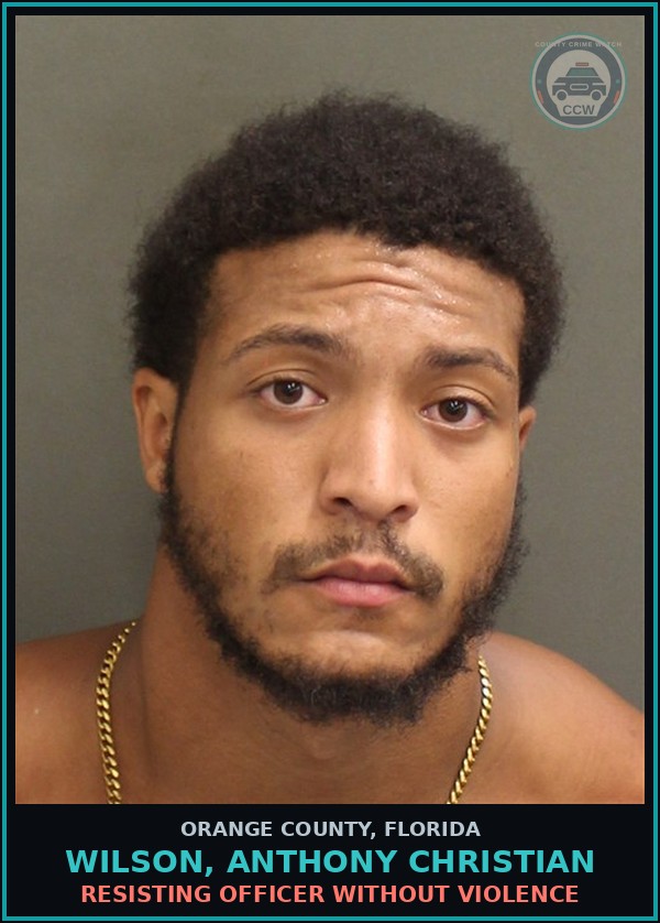 Booking mugshot of WILSON, ANTHONY CHRISTIAN in Orange County