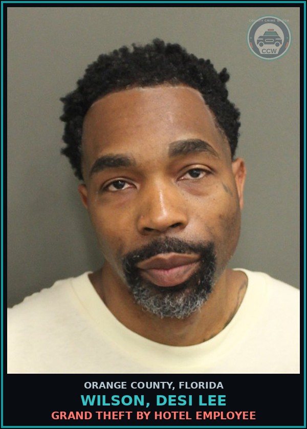 Booking mugshot of WILSON, DESI LEE in Orange County