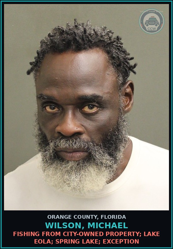 Booking mugshot of WILSON, MICHAEL in Orange County