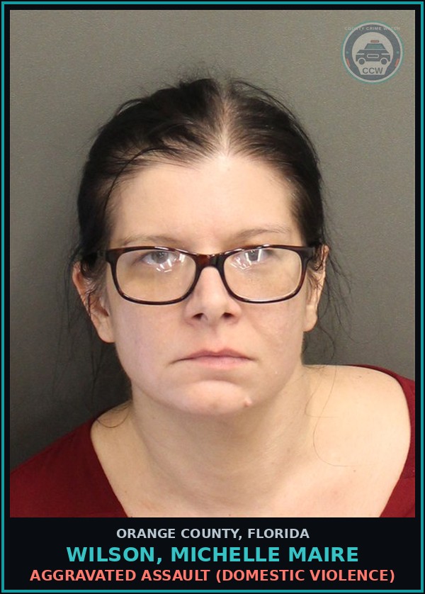 Booking mugshot of WILSON, MICHELLE MAIRE in Orange County
