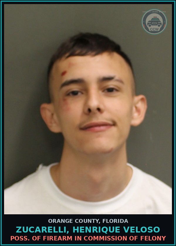 Booking mugshot of ZUCARELLI, HENRIQUE VELOSO in Orange County