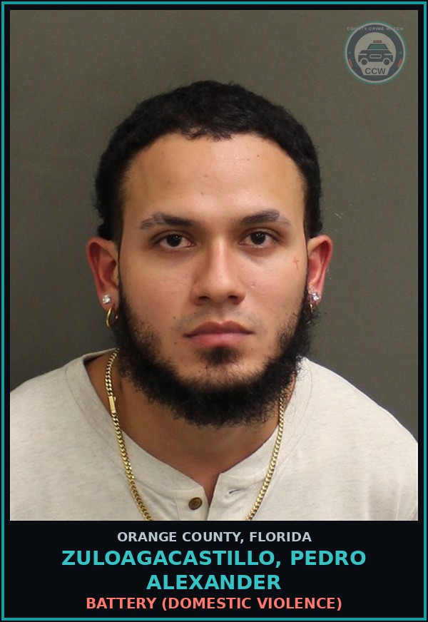 Booking mugshot of ZULOAGACASTILLO, PEDRO ALEXANDER in Orange County