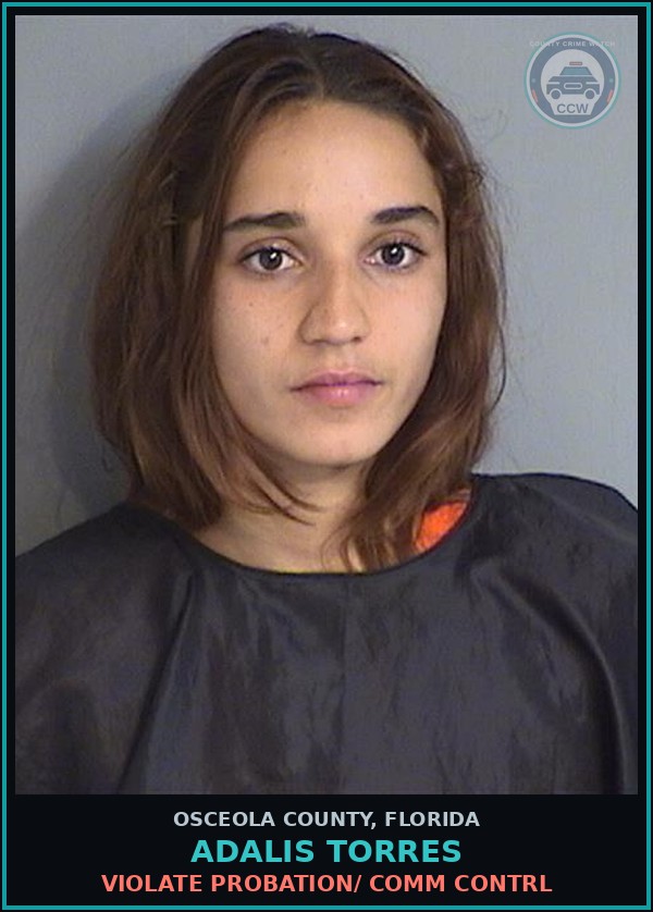 Booking mugshot of ADALIS TORRES in Osceola County