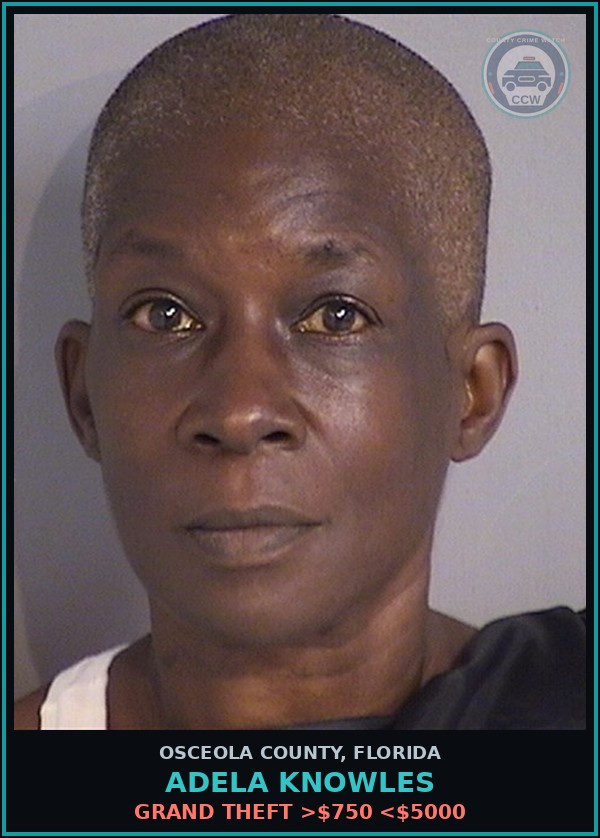 Booking mugshot of ADELA KNOWLES in Osceola County