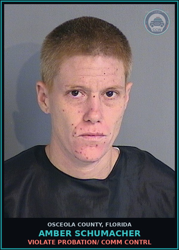 Booking mugshot of AMBER SCHUMACHER in Osceola County