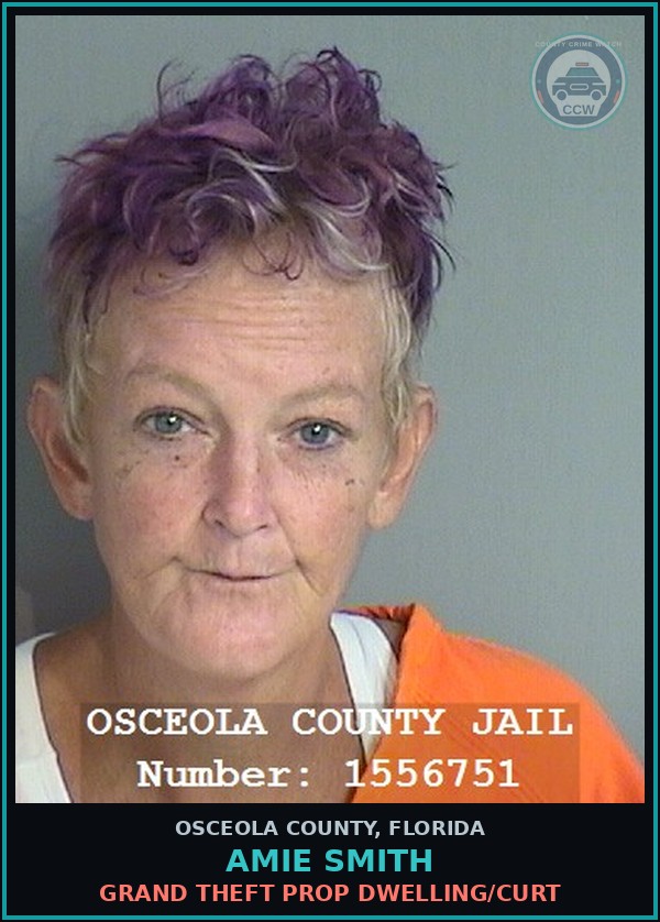 Booking mugshot of AMIE SMITH in Osceola County