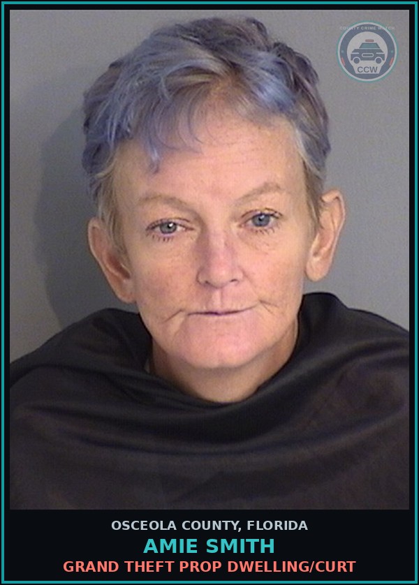 Booking mugshot of AMIE SMITH in Osceola County