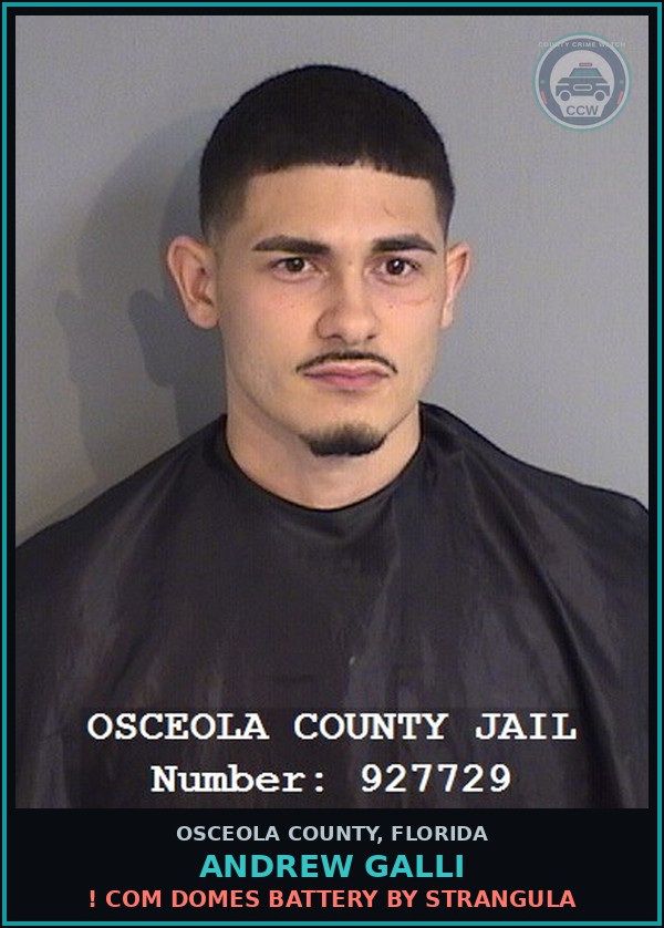 Booking mugshot of ANDREW GALLI in Osceola County