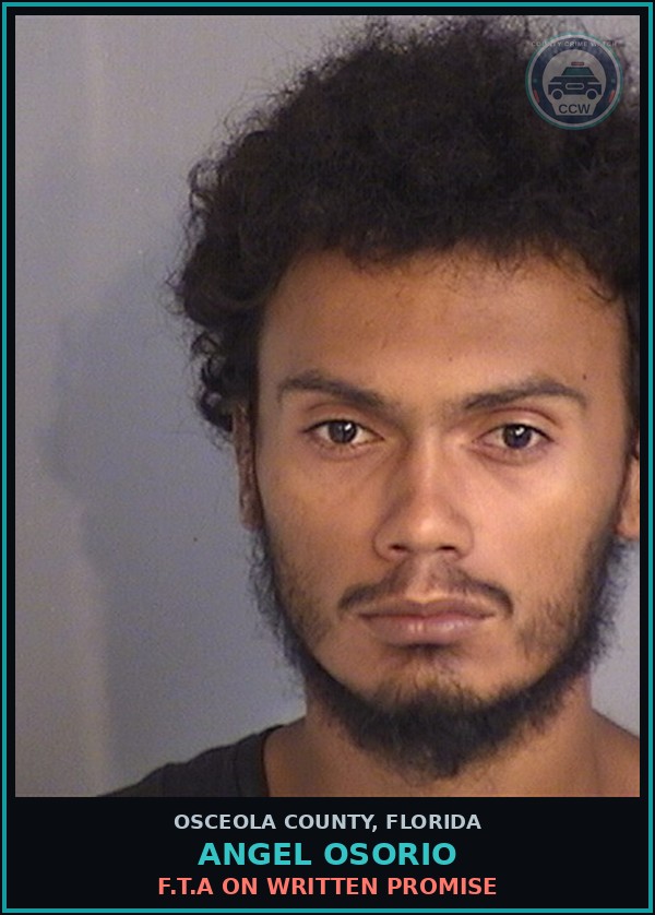 Booking mugshot of ANGEL OSORIO in Osceola County