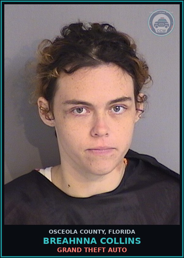 Booking mugshot of BREAHNNA COLLINS in Osceola County