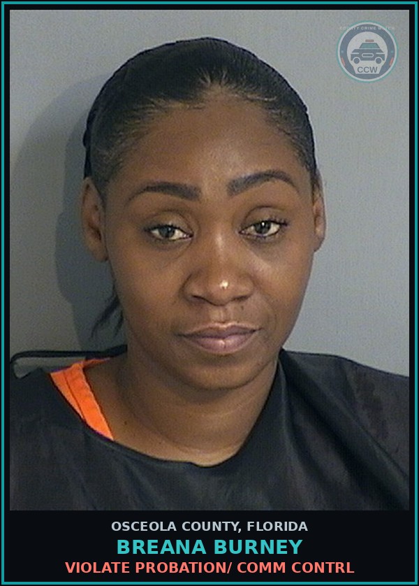 Booking mugshot of BREANA BURNEY in Osceola County