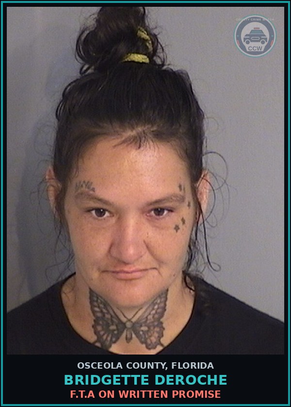 Booking mugshot of BRIDGETTE DEROCHE in Osceola County