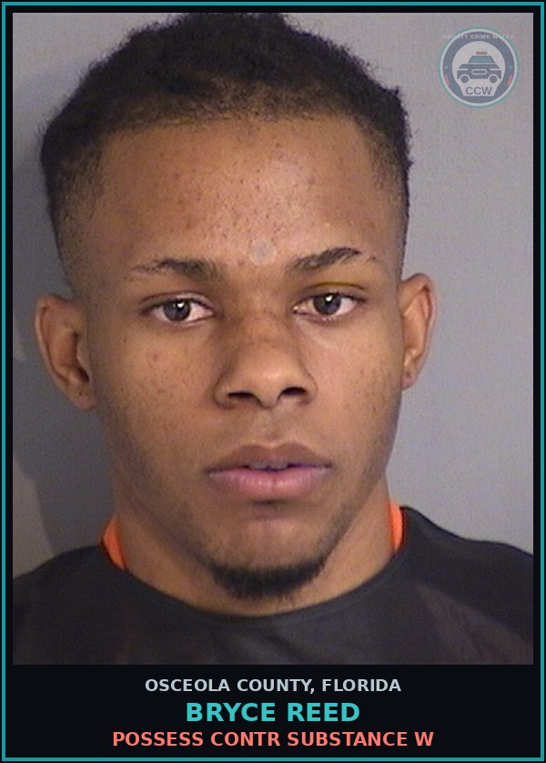 Booking mugshot of BRYCE REED in Osceola County