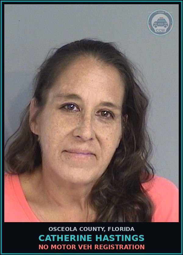 Booking mugshot of CATHERINE HASTINGS in Osceola County