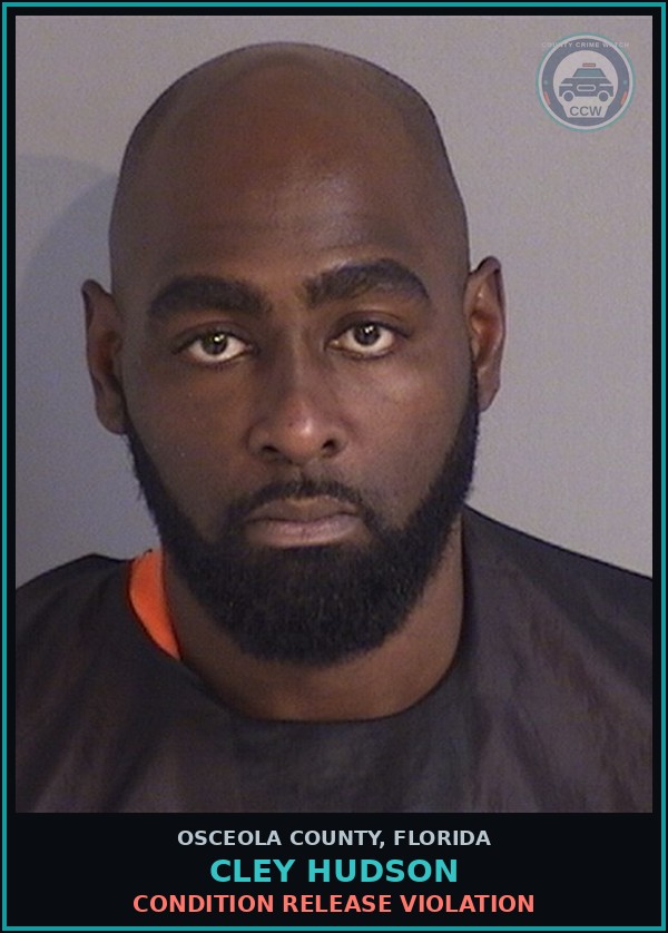 Booking mugshot of CLEY HUDSON in Osceola County