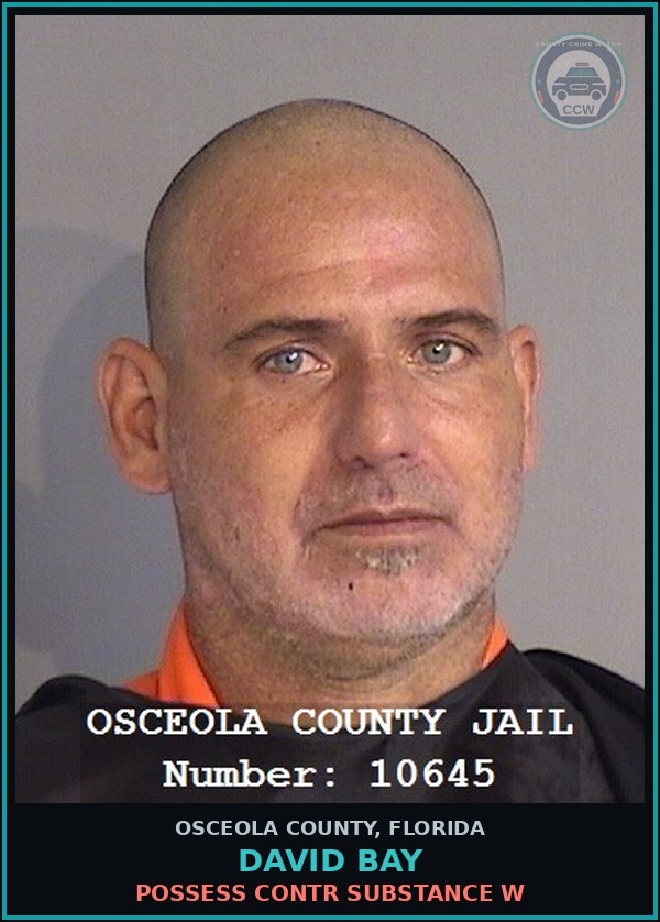 Booking mugshot of DAVID BAY in Osceola County