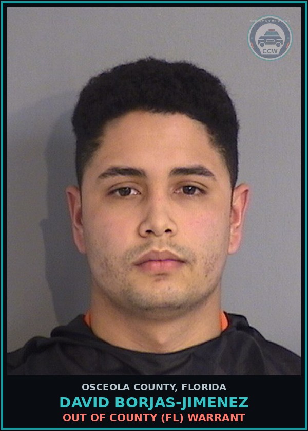 Booking mugshot of DAVID BORJAS-JIMENEZ in Osceola County