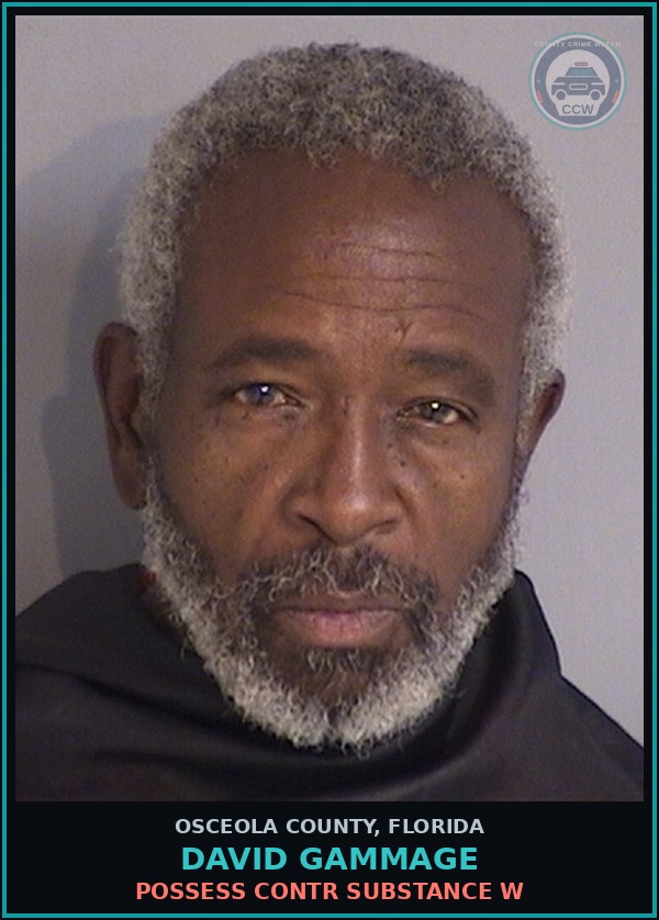 Booking mugshot of DAVID GAMMAGE in Osceola County