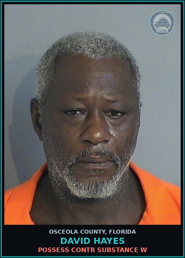 Booking mugshot of DAVID HAYES in Osceola County