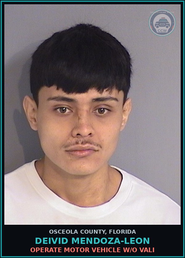 Booking mugshot of DEIVID MENDOZA-LEON in Osceola County