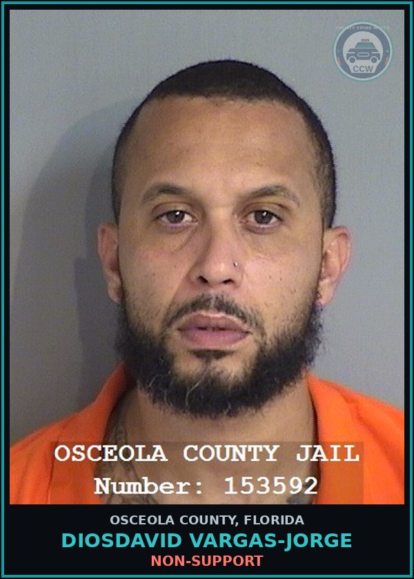 Booking mugshot of DIOSDAVID VARGAS-JORGE in Osceola County