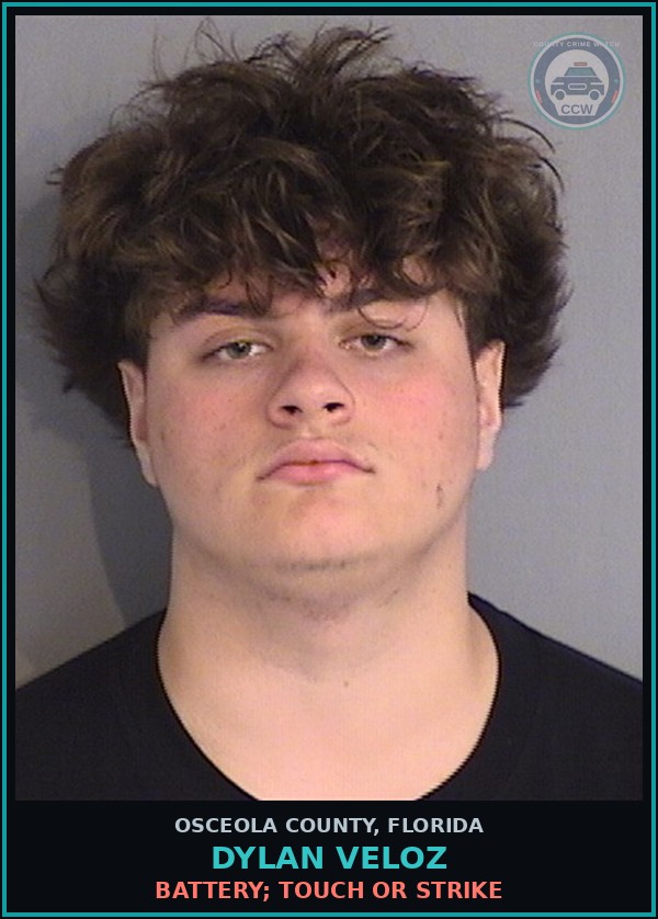 Booking mugshot of DYLAN VELOZ in Osceola County