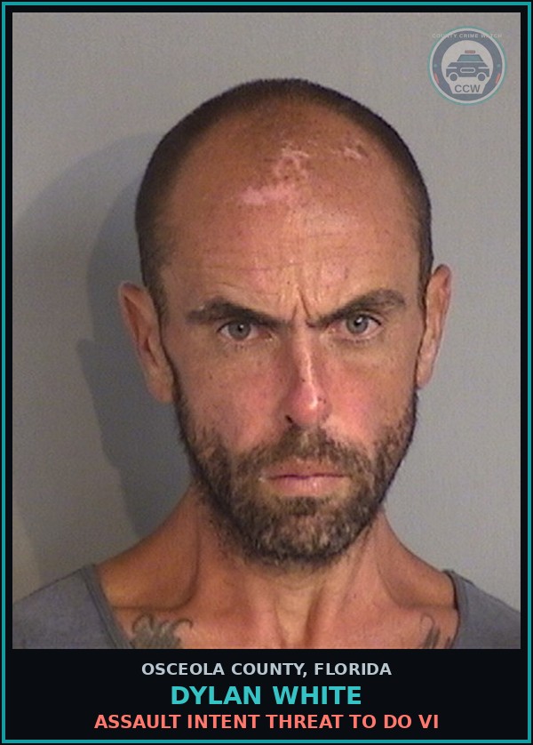 Booking mugshot of DYLAN WHITE in Osceola County