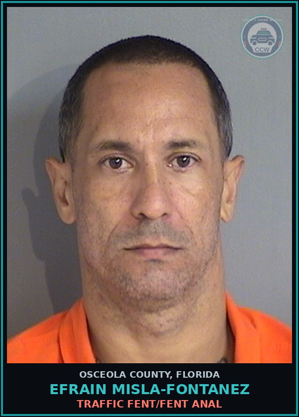 Booking mugshot of EFRAIN MISLA-FONTANEZ in Osceola County