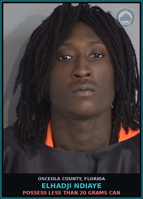 Booking mugshot of ELHADJI NDIAYE in Osceola County