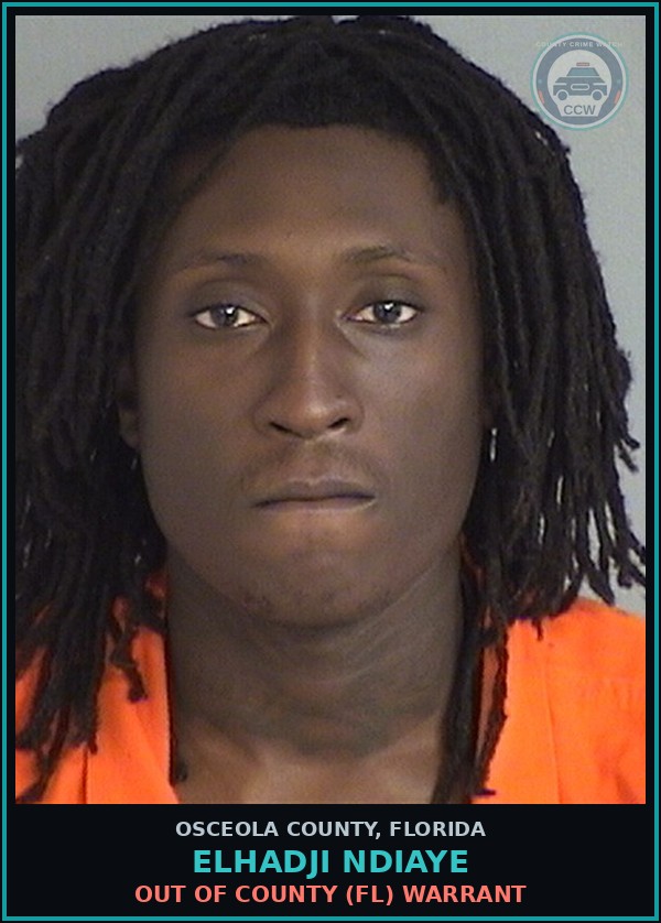 Booking mugshot of ELHADJI NDIAYE in Osceola County