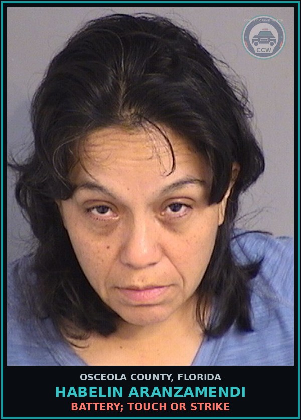Booking mugshot of HABELIN ARANZAMENDI in Osceola County