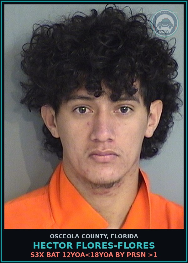 Booking mugshot of HECTOR FLORES-FLORES in Osceola County