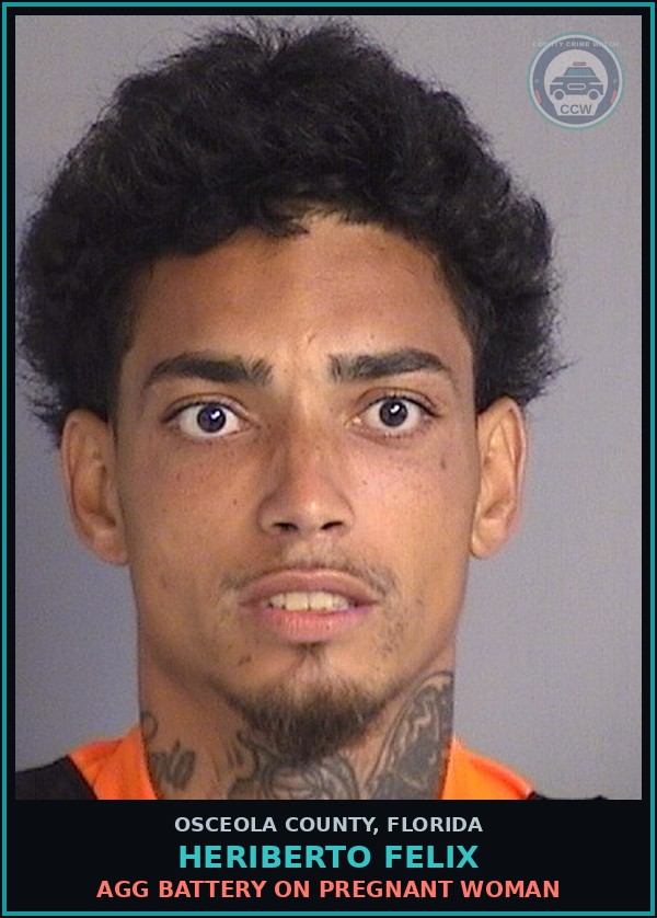 Booking mugshot of HERIBERTO FELIX in Osceola County