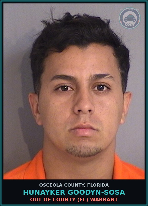 Booking mugshot of HUNAYKER GOODYN-SOSA in Osceola County