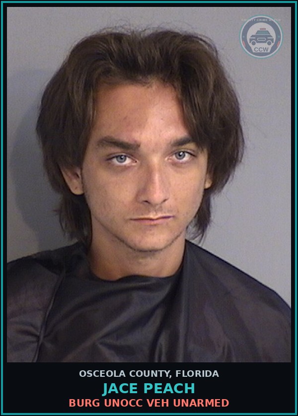 Booking mugshot of JACE PEACH in Osceola County