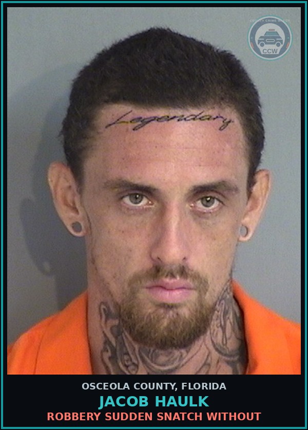 Booking mugshot of JACOB HAULK in Osceola County