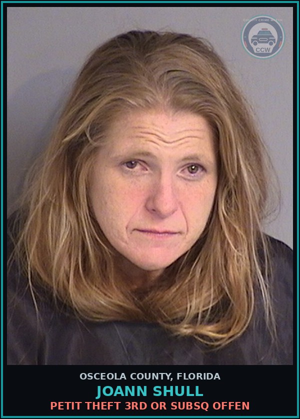 Booking mugshot of JOANN SHULL in Osceola County