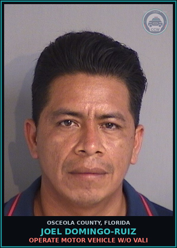 Booking mugshot of JOEL DOMINGO-RUIZ in Osceola County