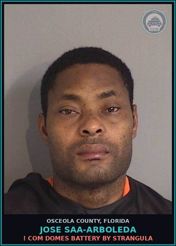 Booking mugshot of JOSE SAA-ARBOLEDA in Osceola County