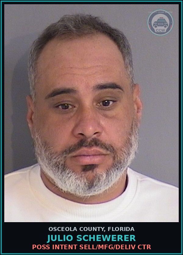 Booking mugshot of JULIO SCHEWERER in Osceola County