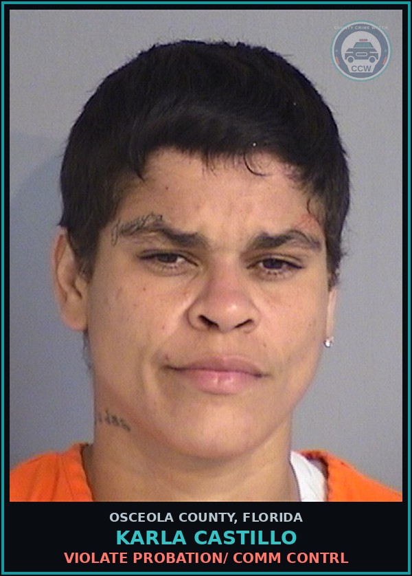 Booking mugshot of KARLA CASTILLO in Osceola County