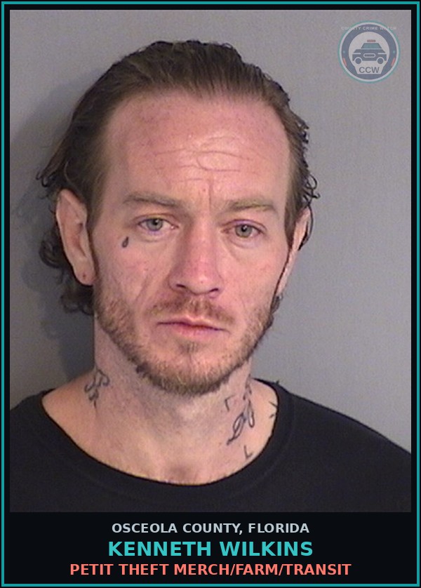 Booking mugshot of KENNETH WILKINS in Osceola County