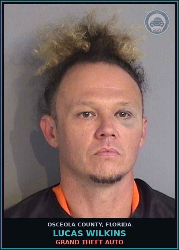 Booking mugshot of LUCAS WILKINS in Osceola County