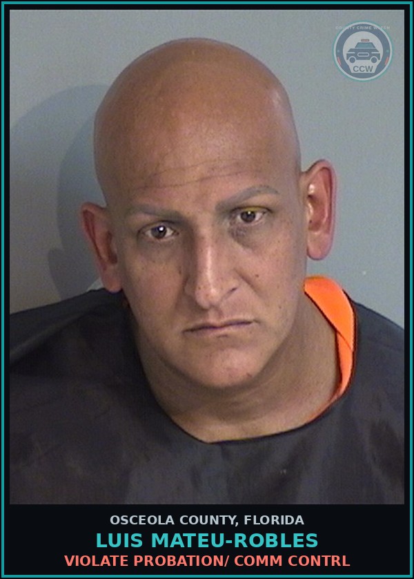 Booking mugshot of LUIS MATEU-ROBLES in Osceola County