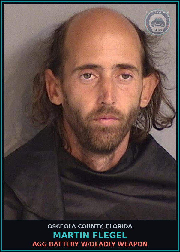 Booking mugshot of MARTIN FLEGEL in Osceola County