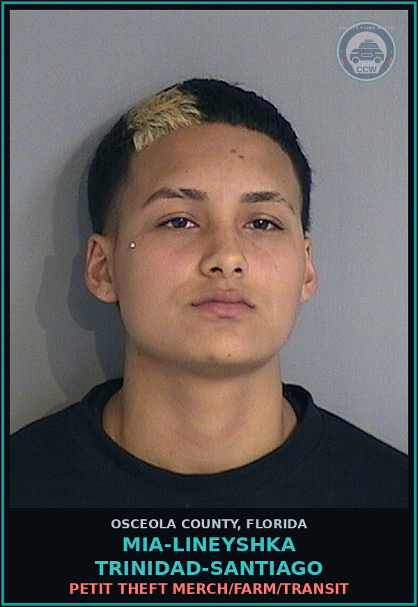 Booking mugshot of MIA-LINEYSHKA TRINIDAD-SANTIAGO in Osceola County
