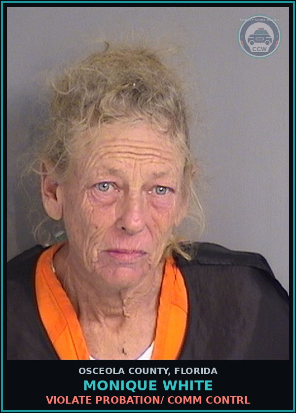 Booking mugshot of MONIQUE WHITE in Osceola County
