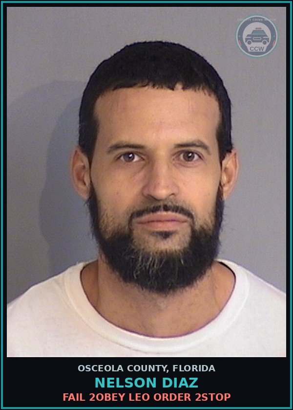 Booking mugshot of NELSON DIAZ in Osceola County