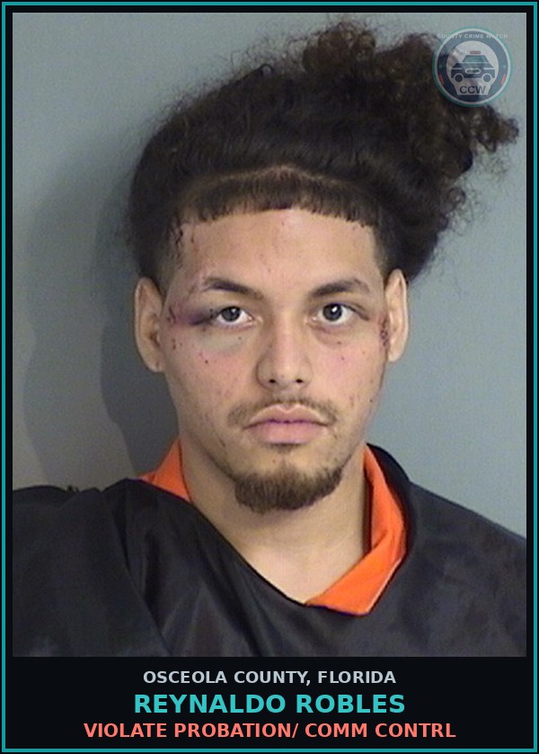 Booking mugshot of REYNALDO ROBLES in Osceola County